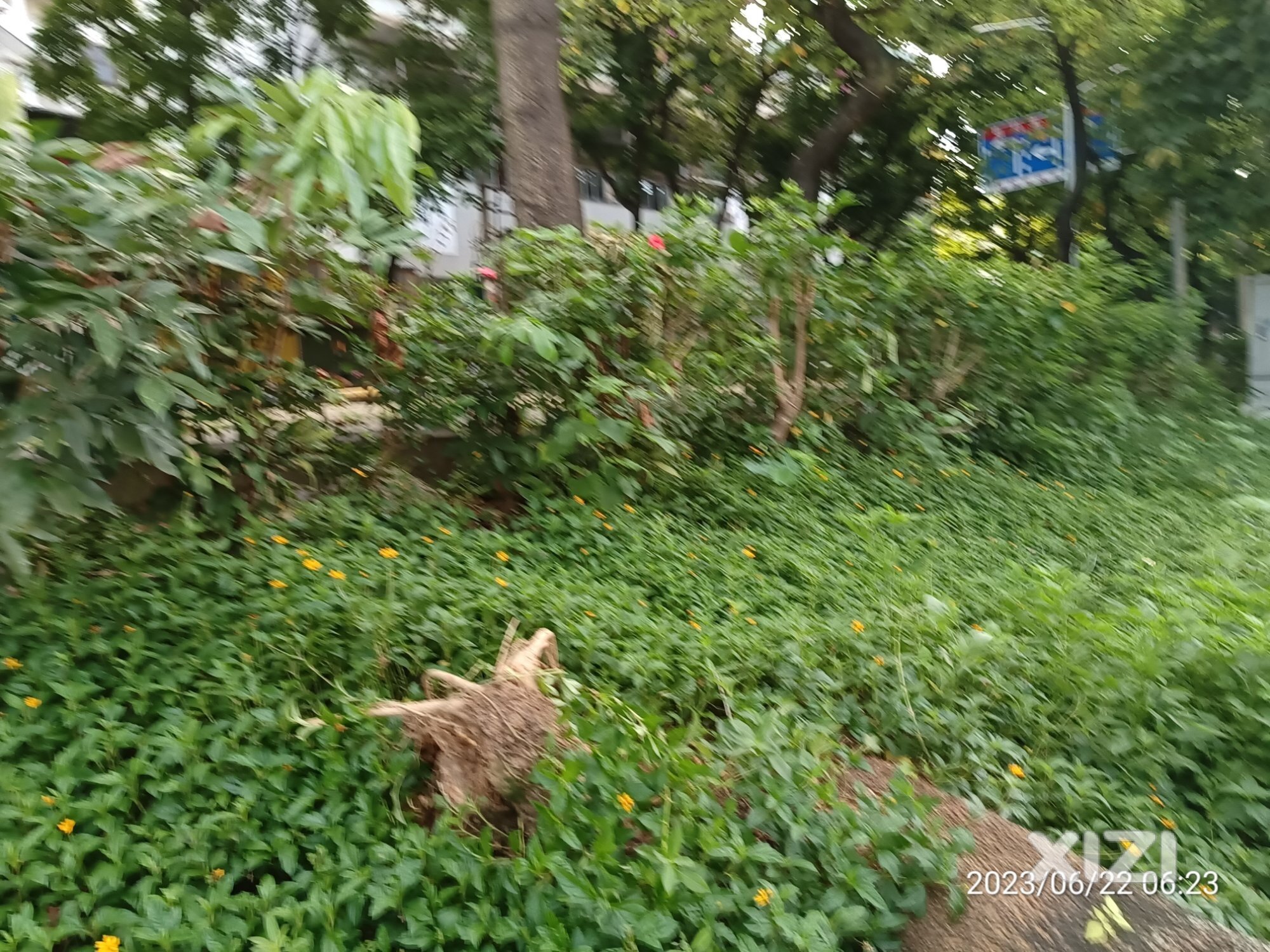 惠城区桥东永平路江边