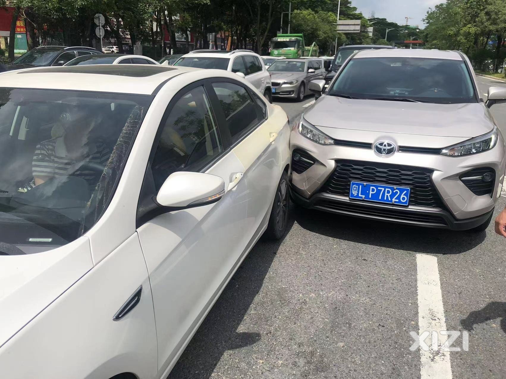 恶心给恶心