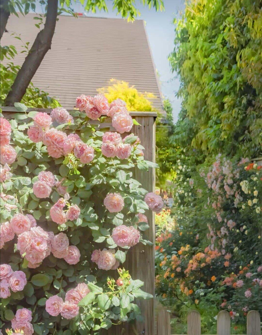 节日小酌了两杯，很想吟诗一首啊