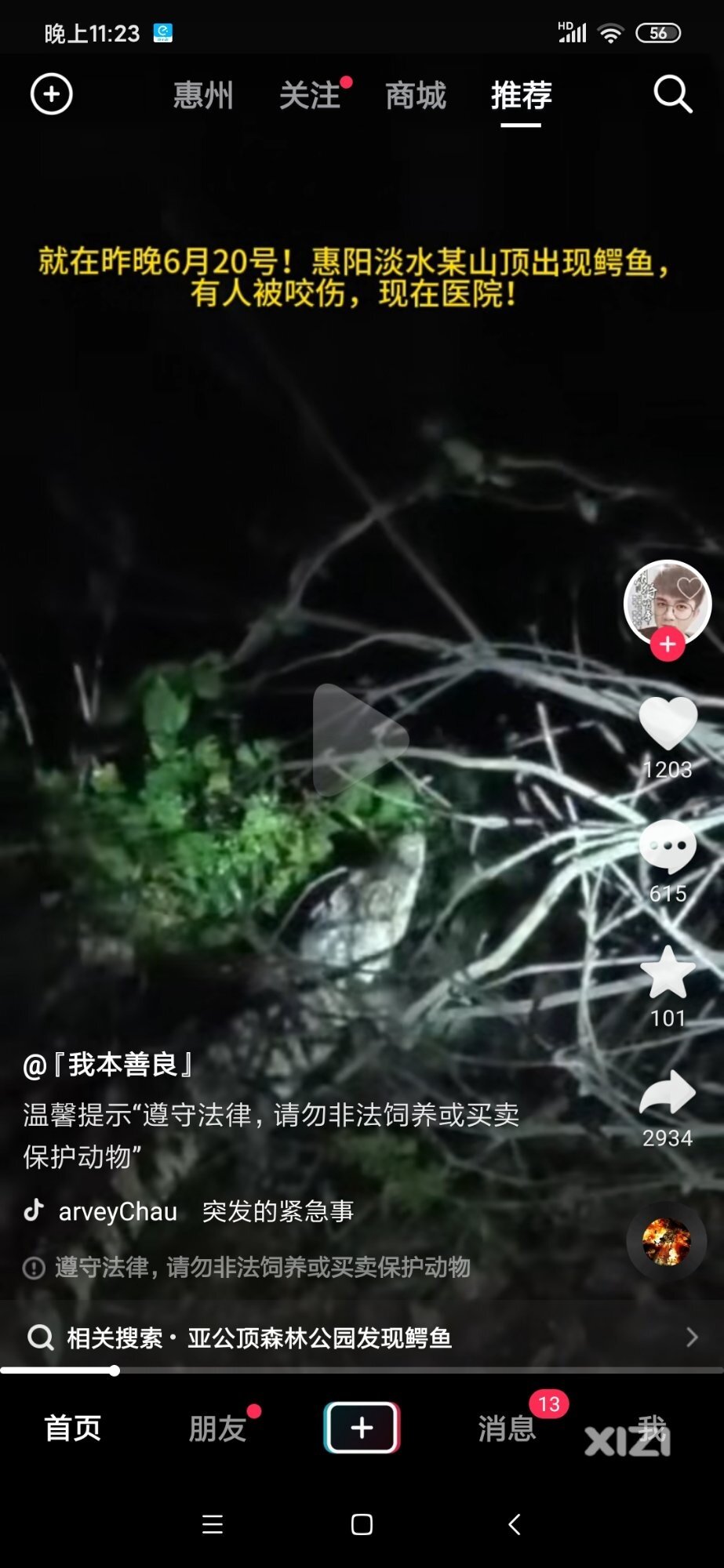 好恐怖，山上怎么会有鳄鱼的？