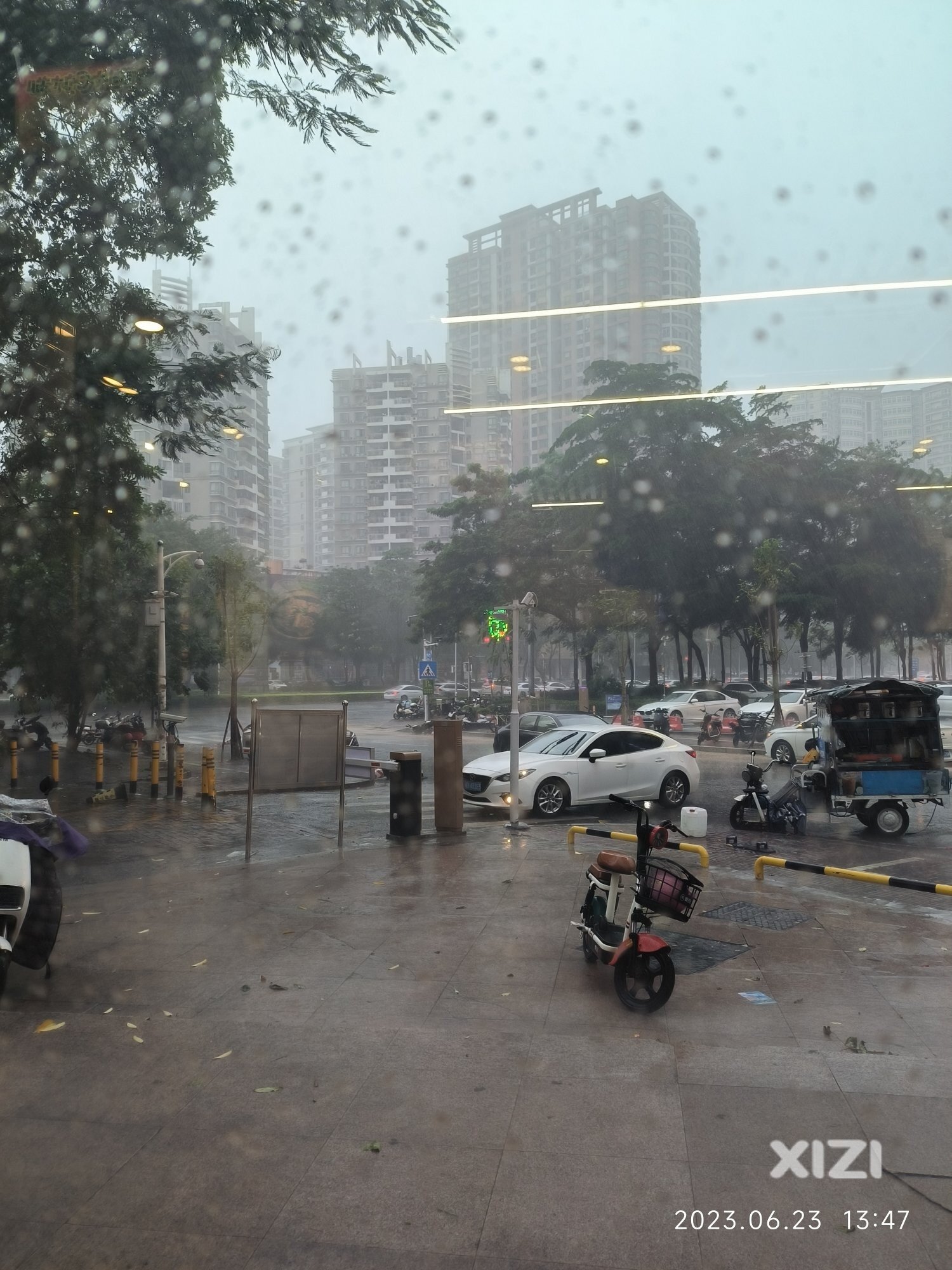 风狂雨骤的午后