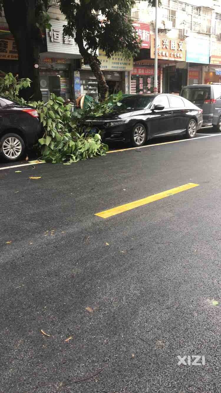 风太大了