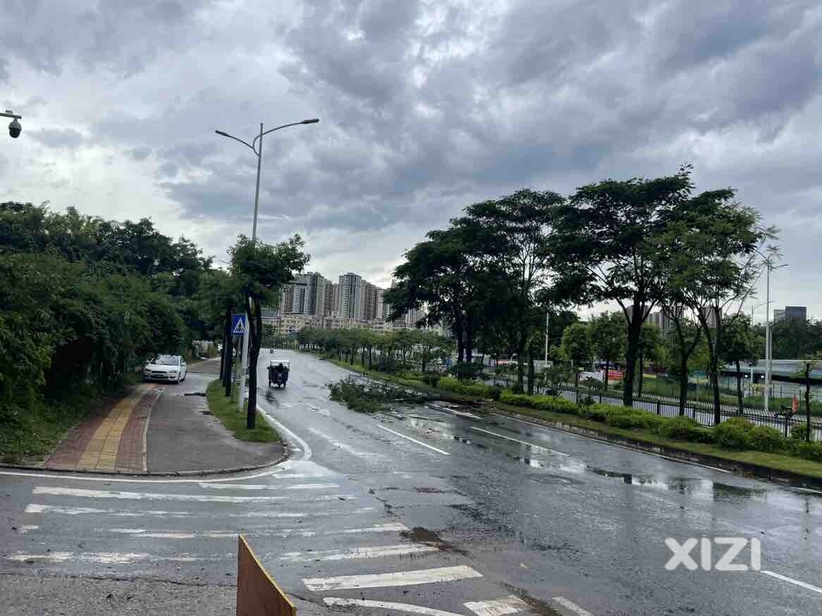 惠环菜市场住惠州方向