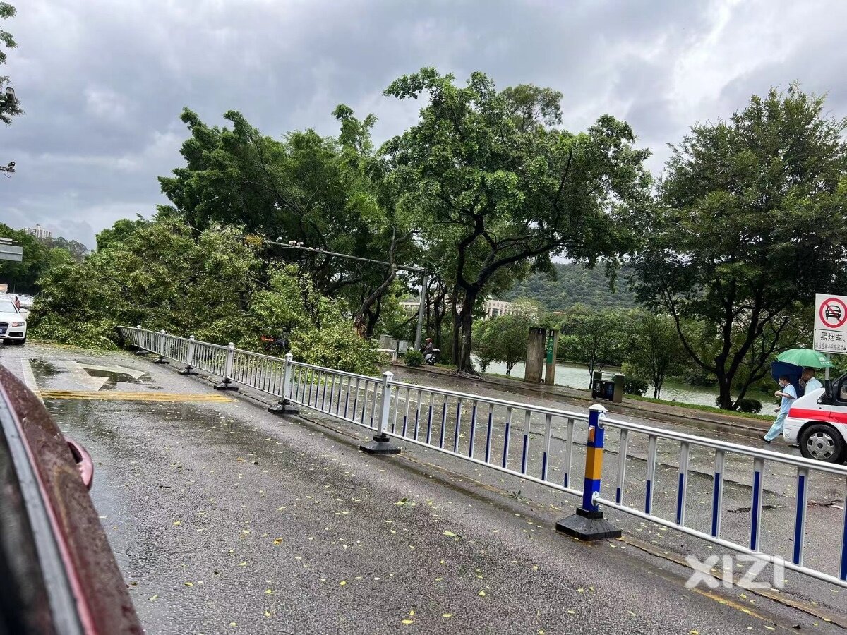 鳄湖路国华路口