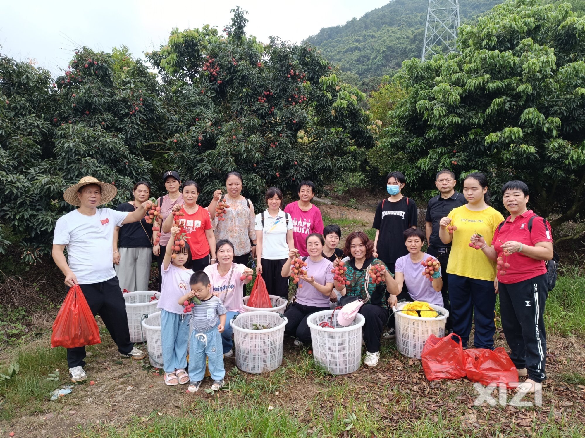 “携手同行”志愿者快乐户外采摘荔枝活动