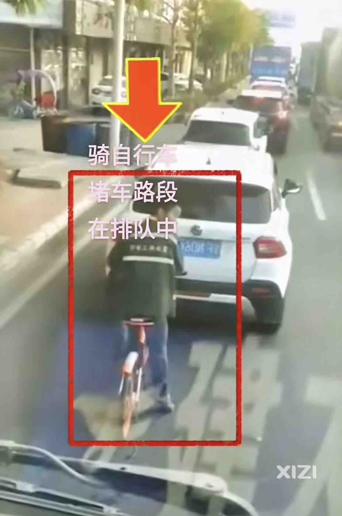 文明出行，遵章楷模