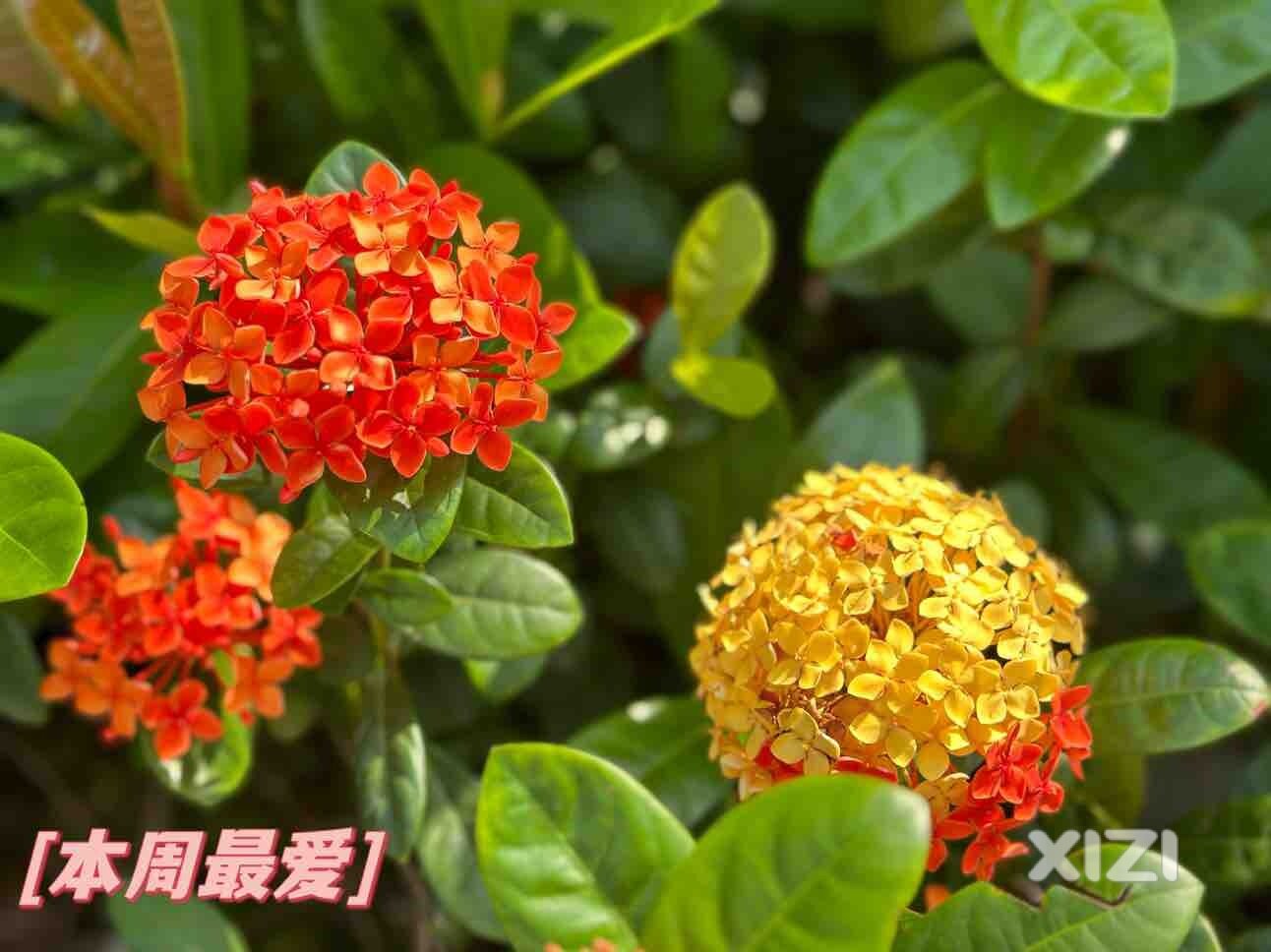 惠州打卡好去处。