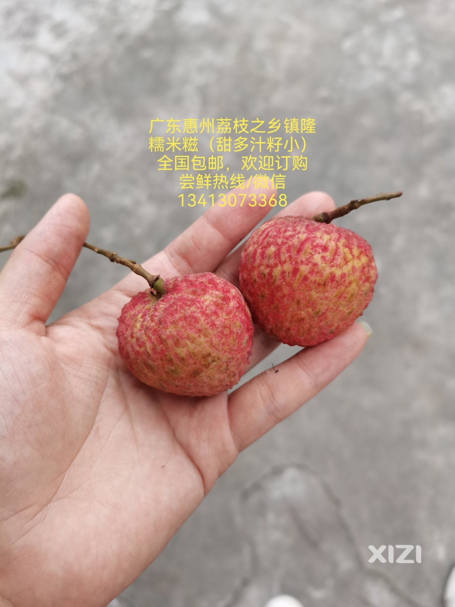 广东惠州荔枝之乡镇隆糯米糍（甜多汁籽小)