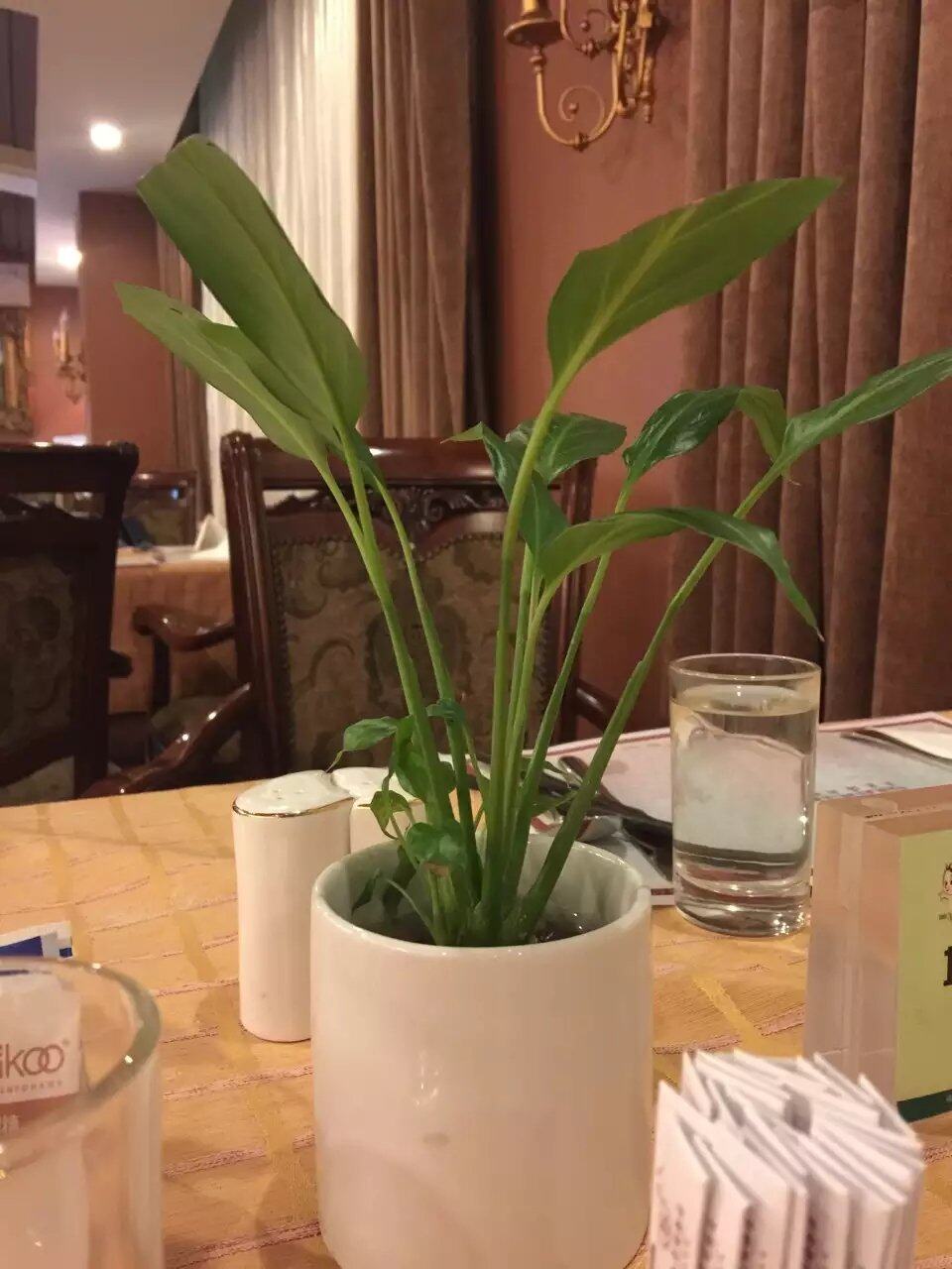 午餐时间到了