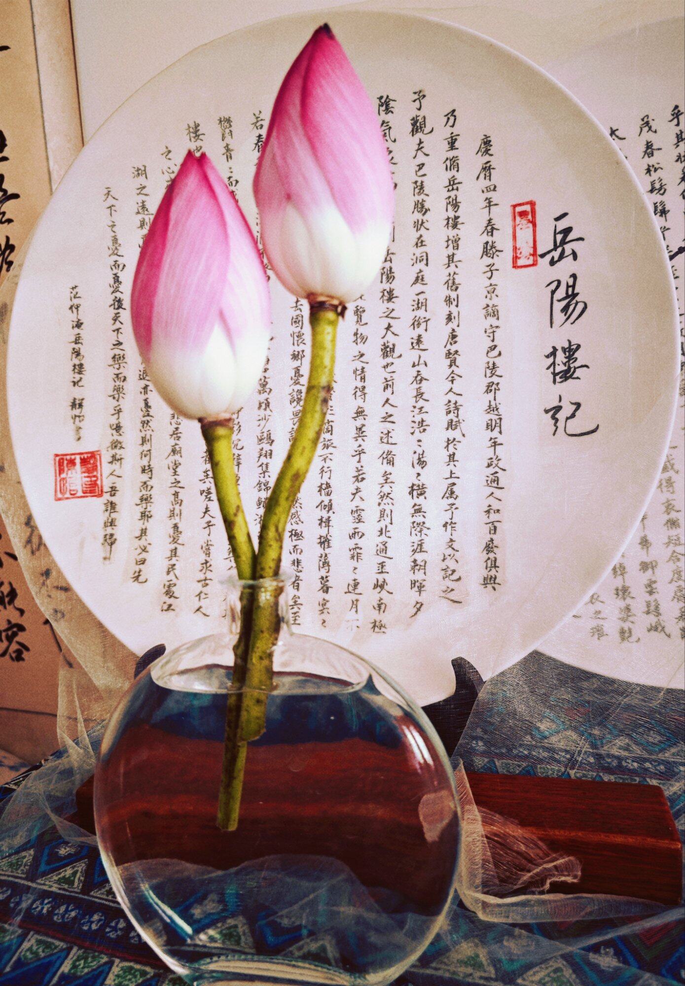 出污泥而不染[小红花]濯清涟