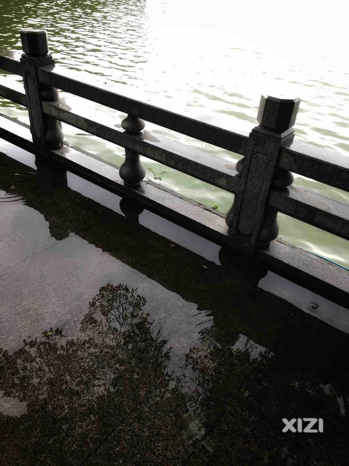 今天雨后随拍