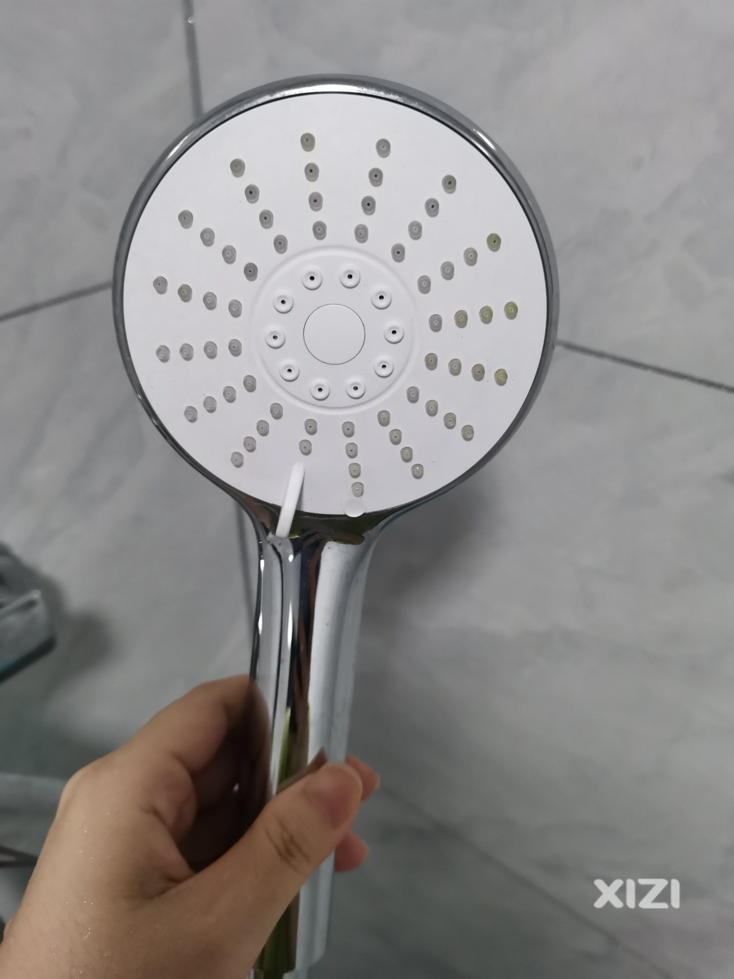 家里两个卫生间的花晒