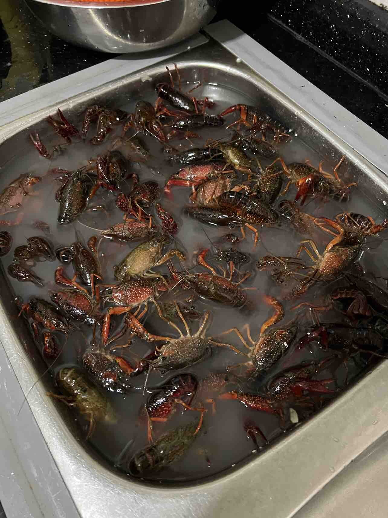 这个月开始戒小龙虾