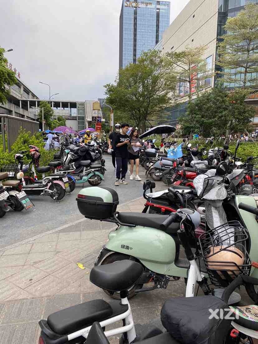 社会责任与担当