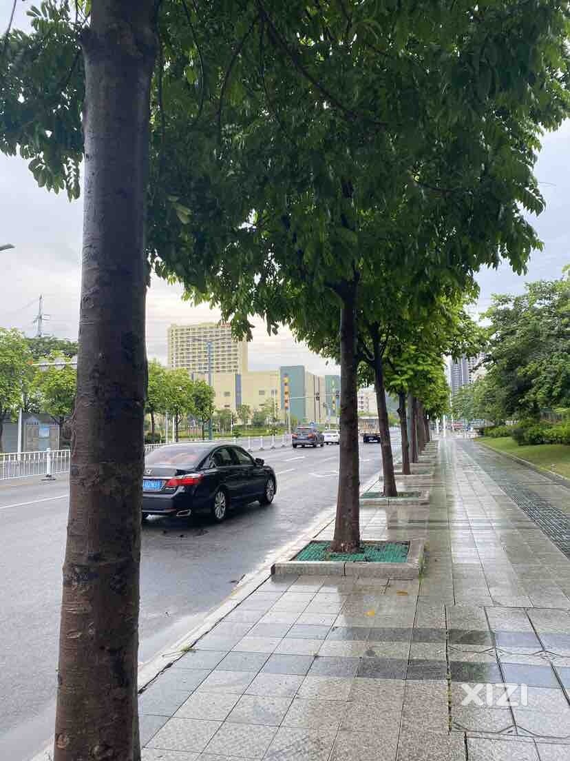 雨后人更爽
