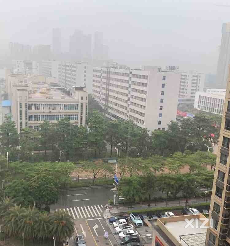 阳台观雨，发现家附近两条“黄河”