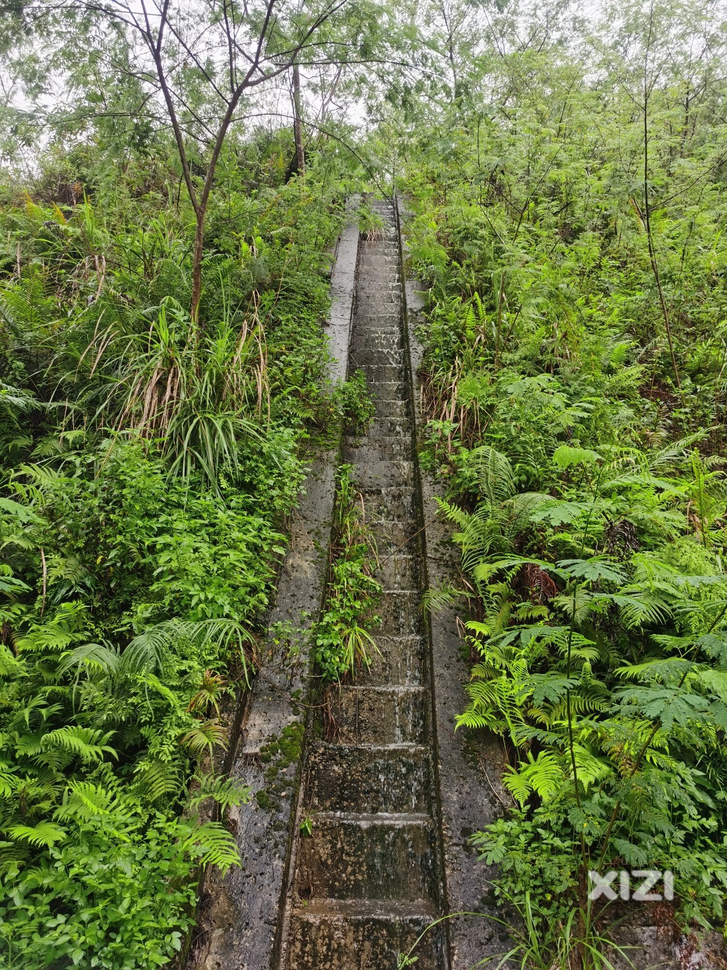 红花湖水位高了