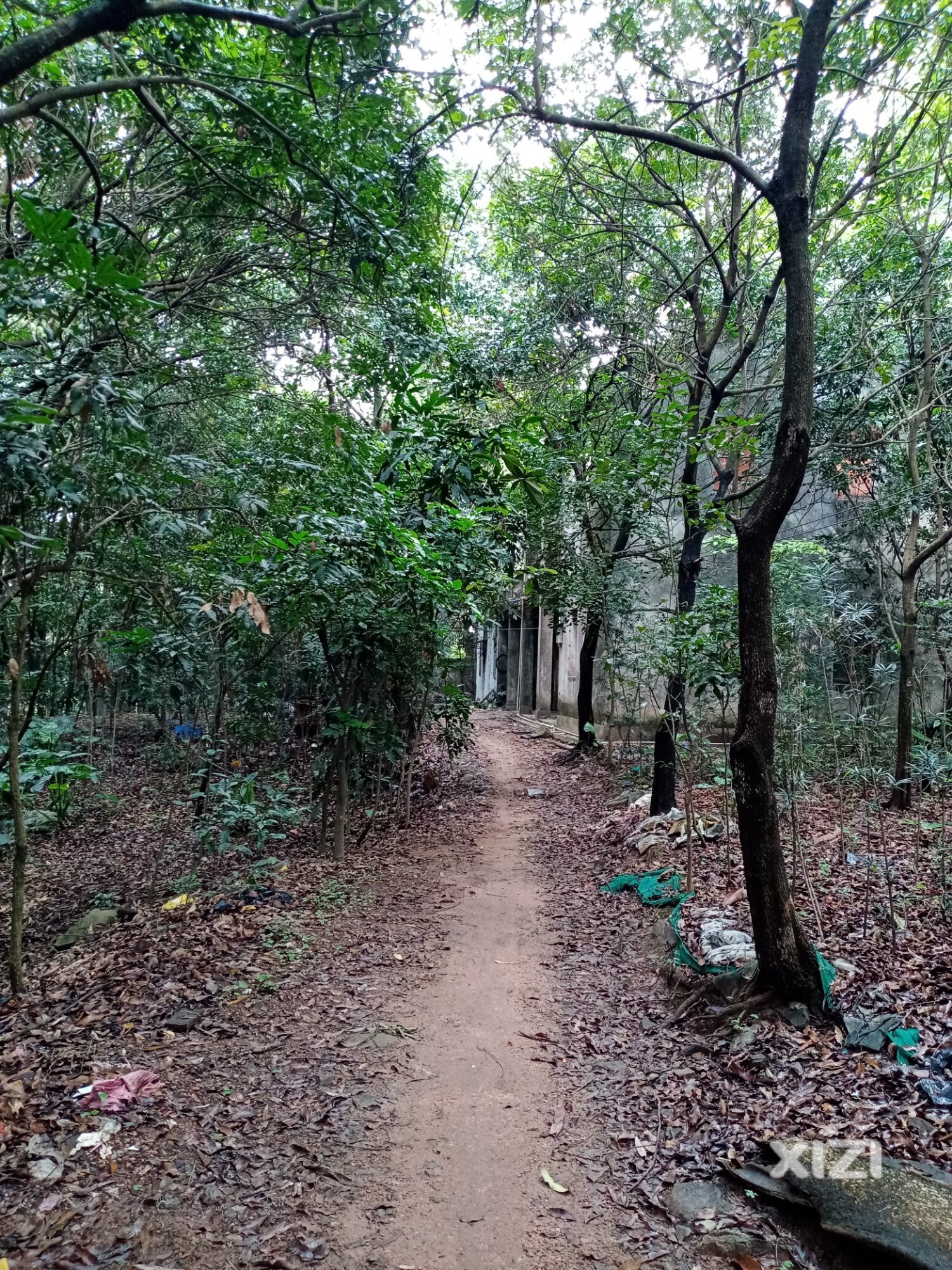 这就是农村，不喜欢看可以划走。请勿打扰。