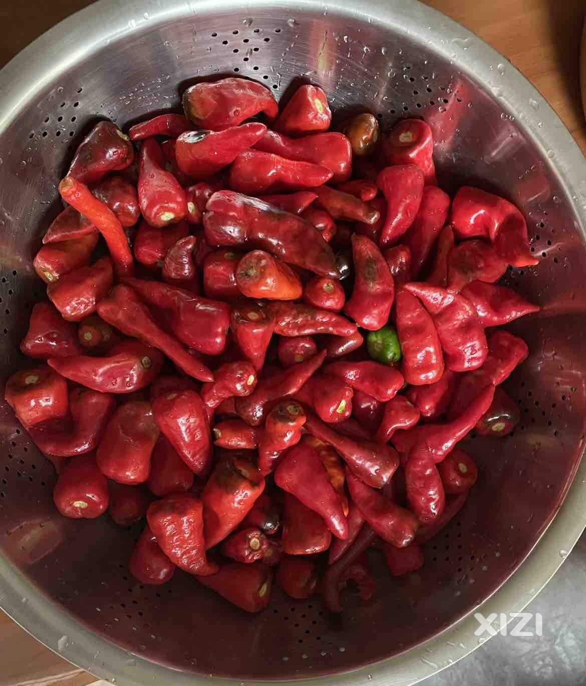 邻居送了辣椒，求推荐怎么吃？樟树港辣椒，很辣那种。