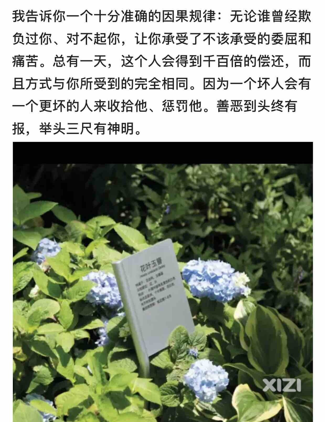 美文分享