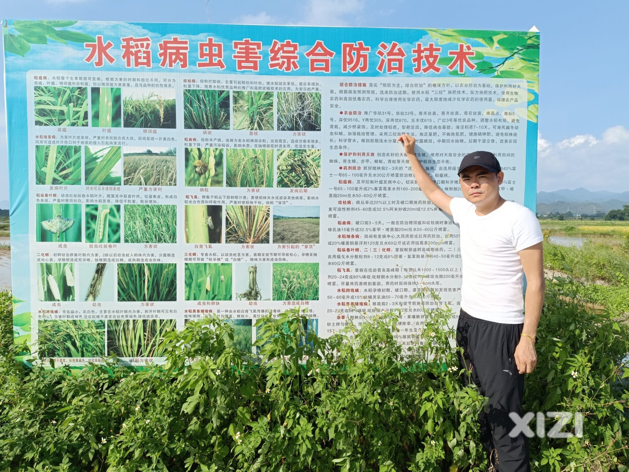 乡村“新农人”　“稻路“油路”更宽敞