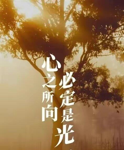 告诉你一个秘密