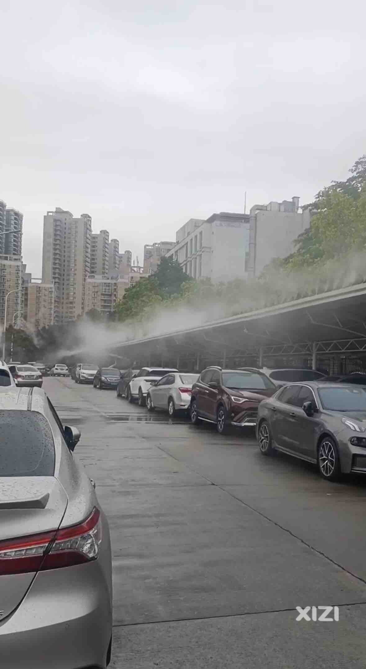 来大亚湾体验喷雾夏日清凉