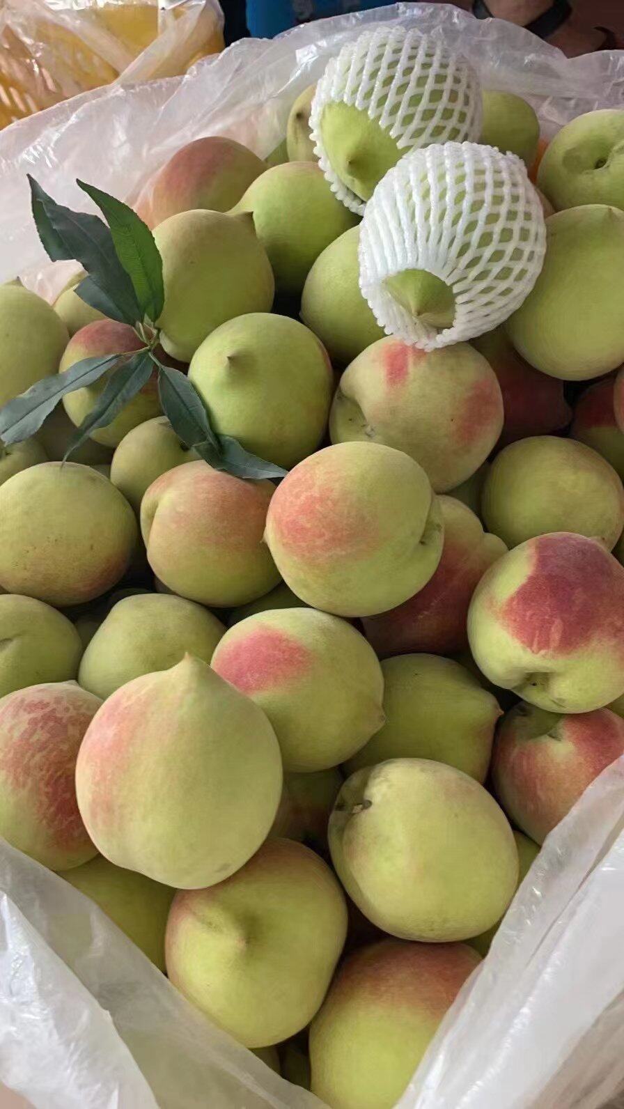 好吃的鹰嘴桃