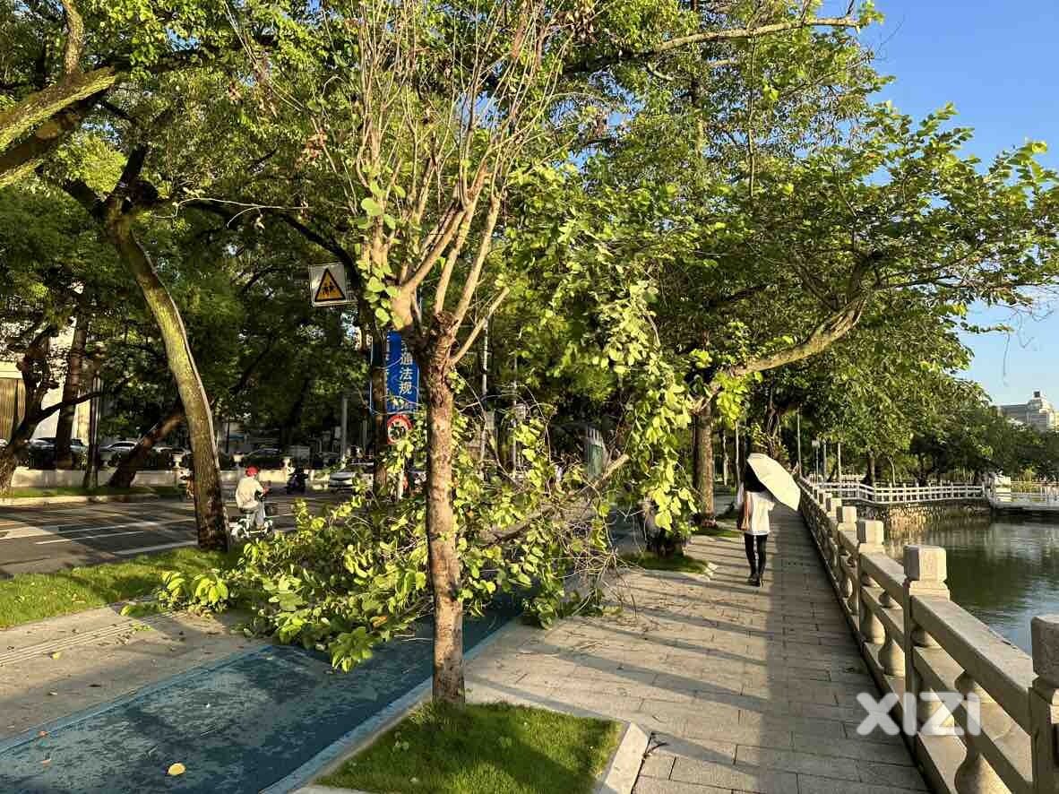 西湖边，金帝门口对面