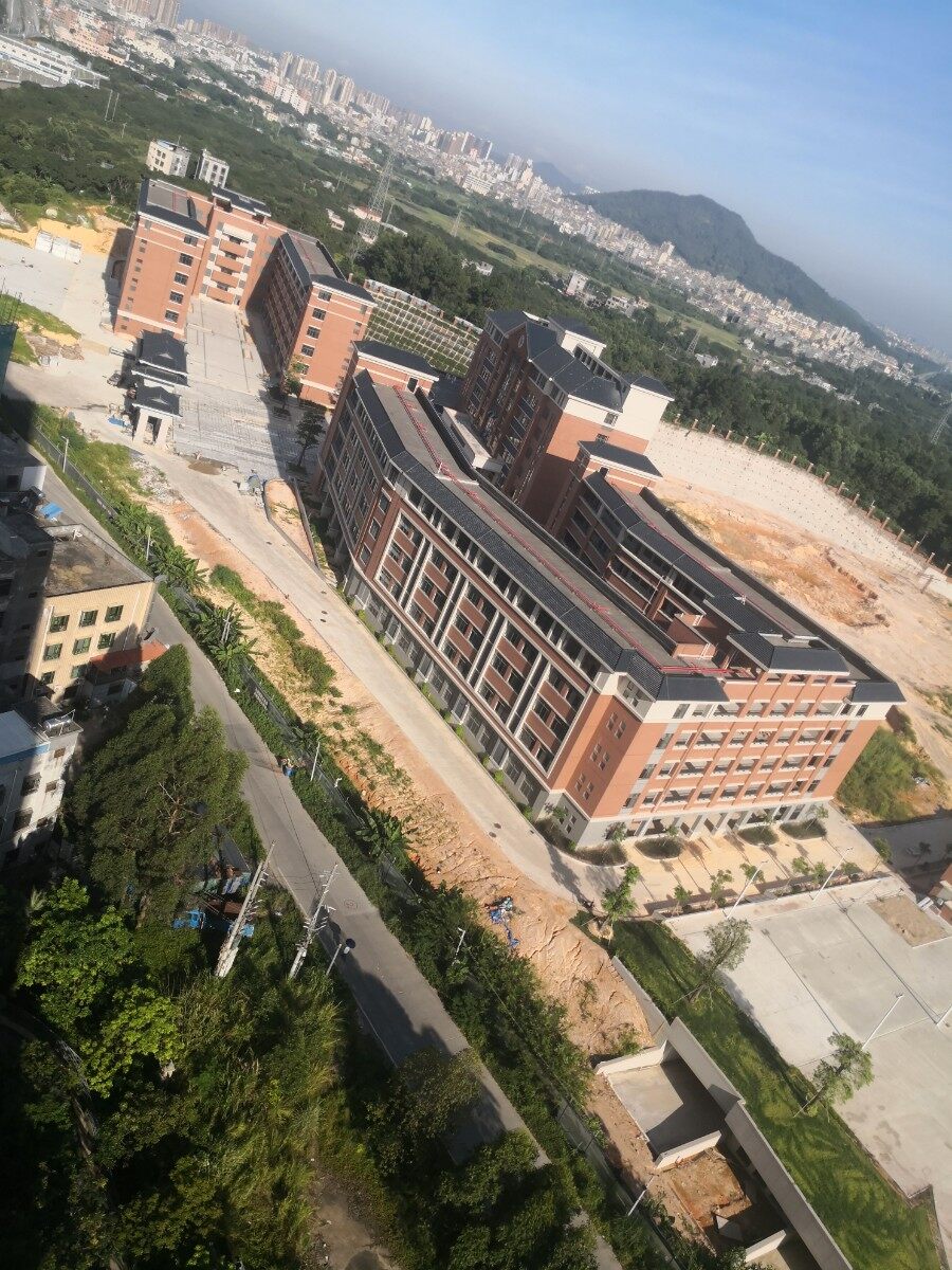 某学校今早鸟瞰图，还挺好看的