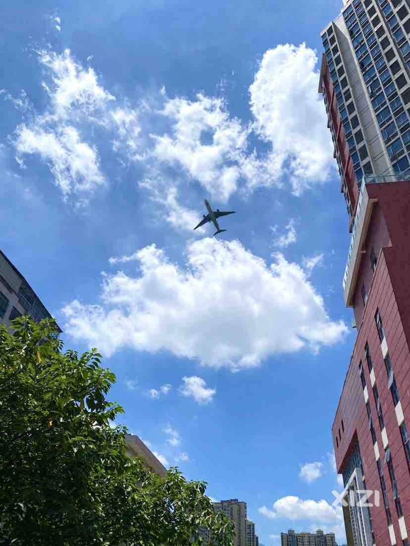 太热，每天坐在这看看行云！