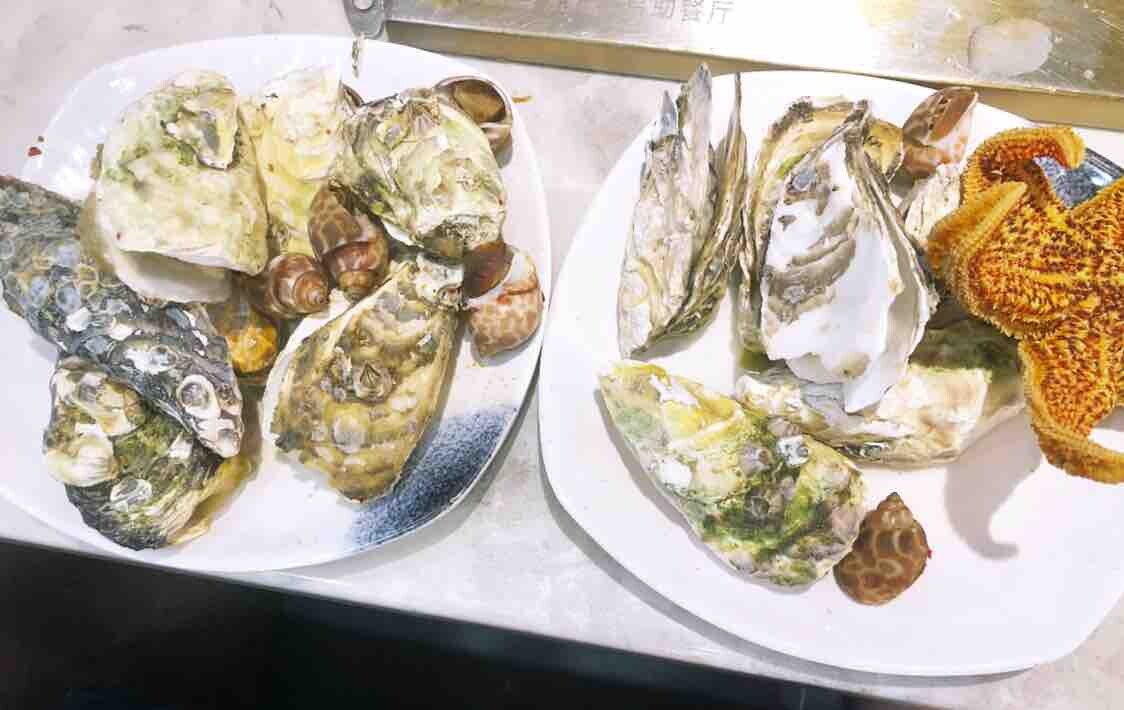 生蚝吃回本了