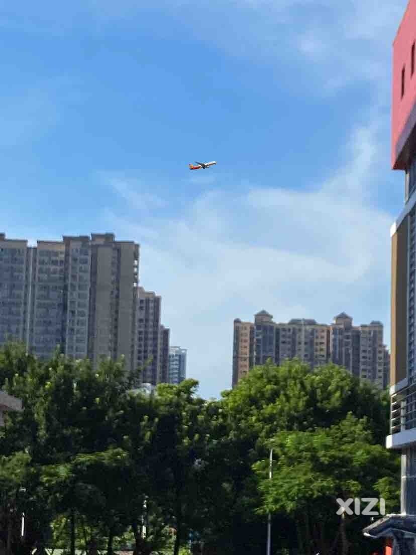 日日观云，不想动，天气太热！