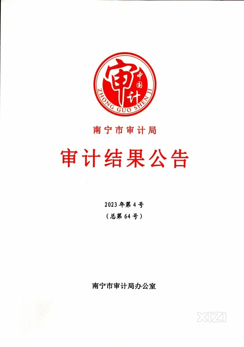 南宁市审计局发布审计报告