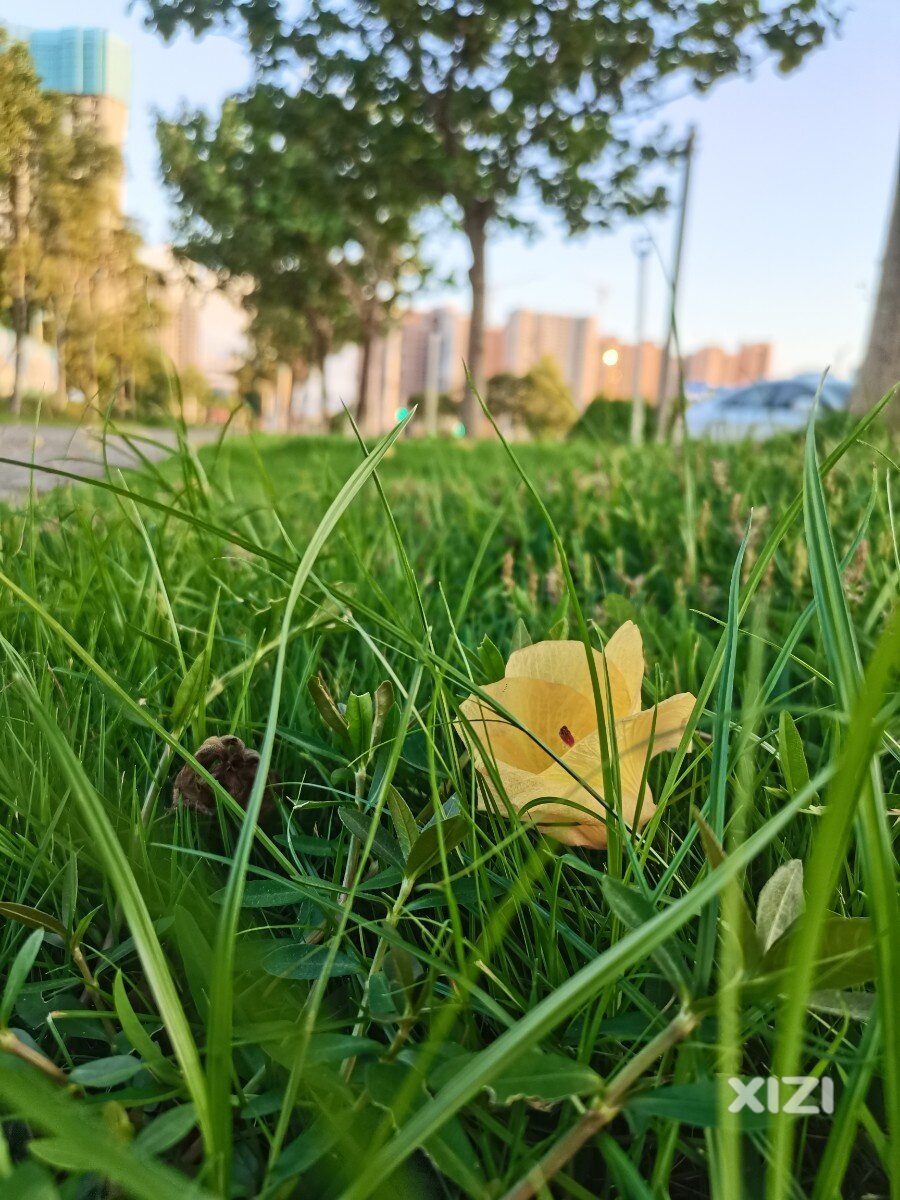 仲恺美丽的晚霞
