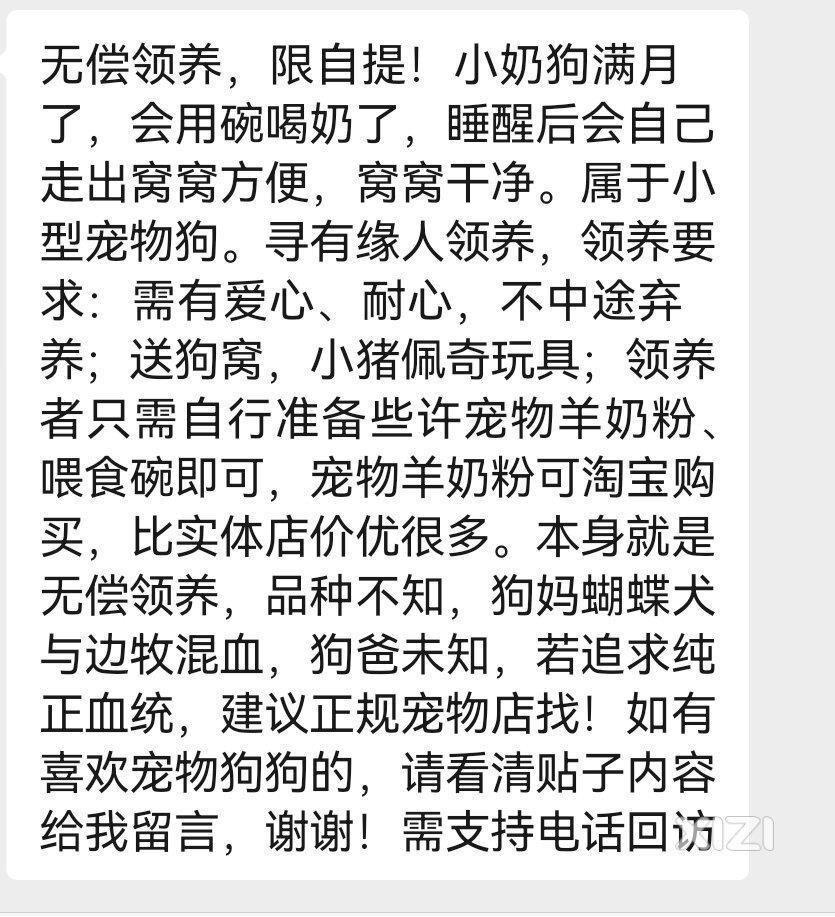 无偿赠送串串