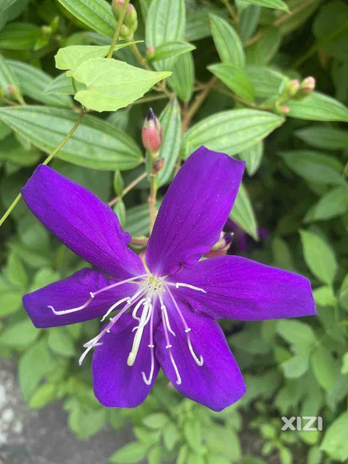 早上好，今天汝湖感觉凉快了，会下雨吗？
