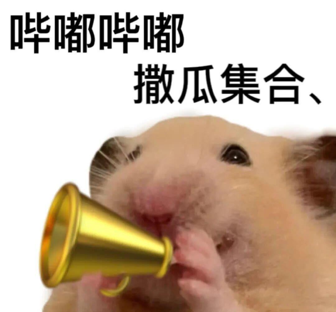 等不到天黑……