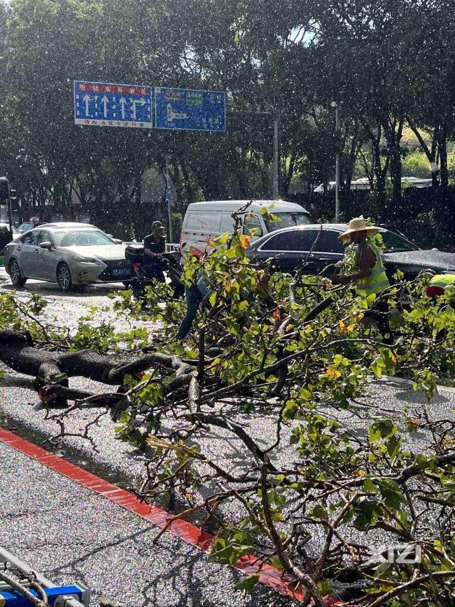 台风又来了，大风大雨，大家出行注意安全！