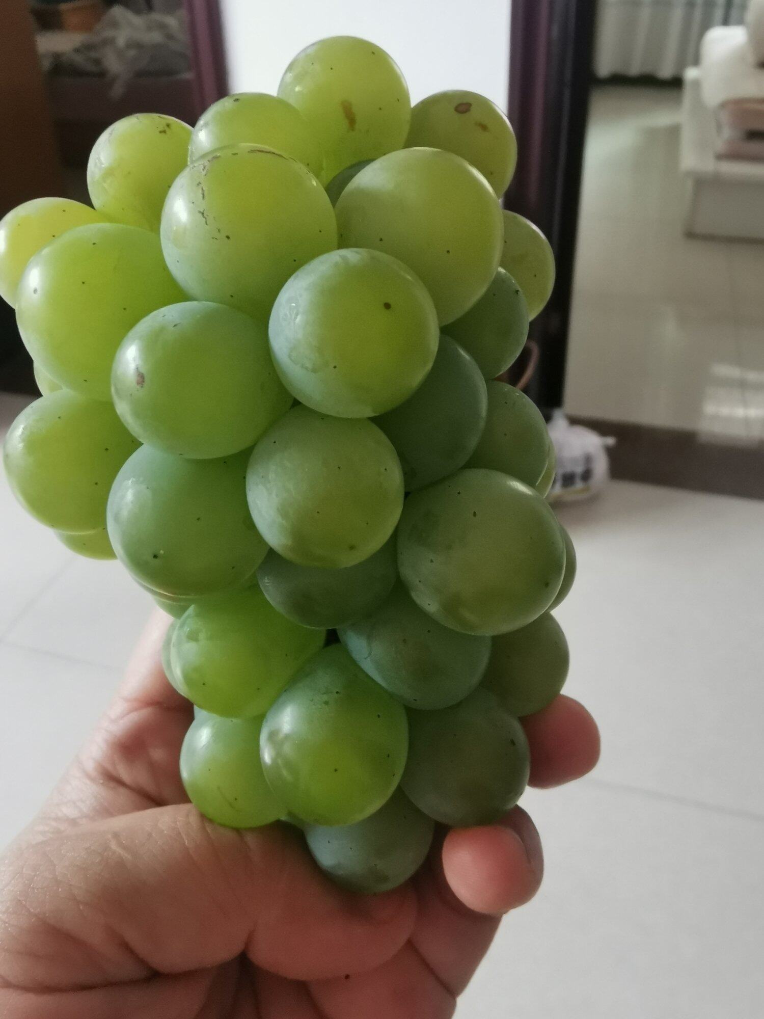 儿时的味道
