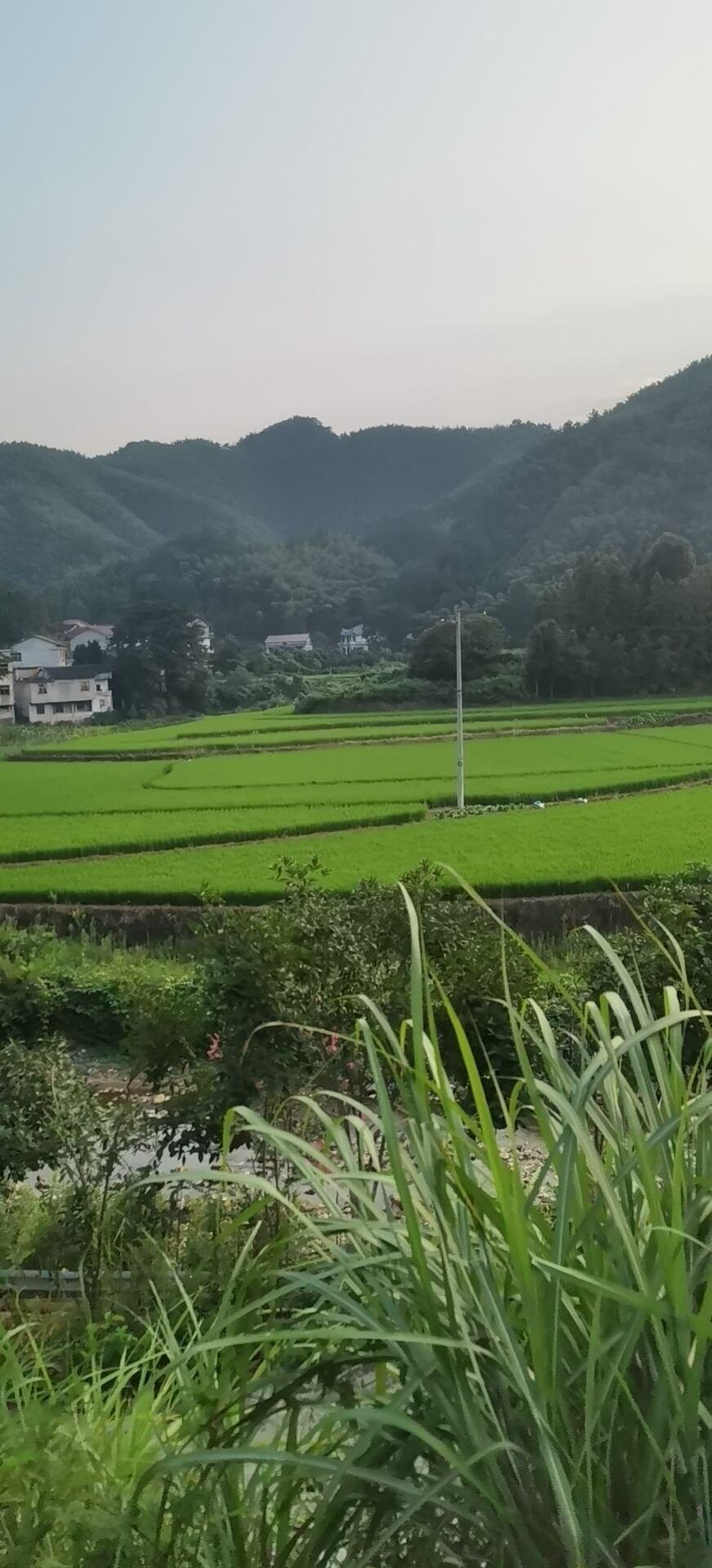 一场雨，知道了雨伞的