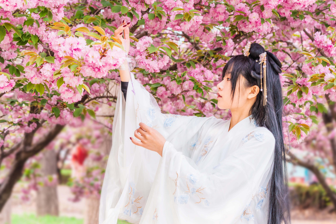 千库网_樱花白天美少女古装树林赏花摄影图配图_摄影图编号176025.jpg